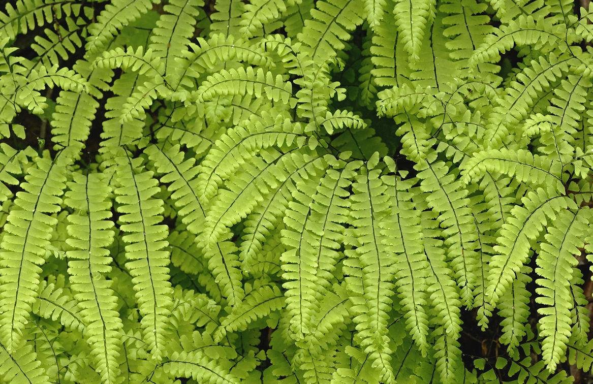 成都環保裝飾公司 成都環保裝飾公司