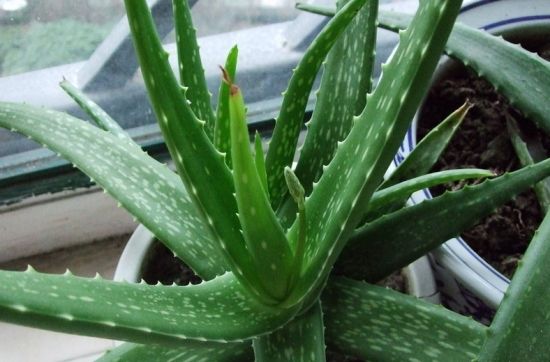 成都環保裝飾公司 成都環保裝飾公司