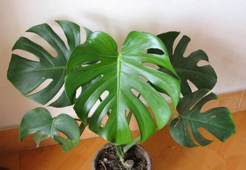 成都環保裝飾公司 成都環保裝飾公司